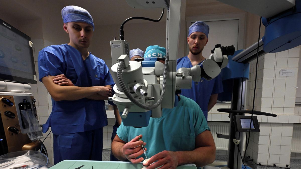 O místa na vysokých školách se popere silný ročník